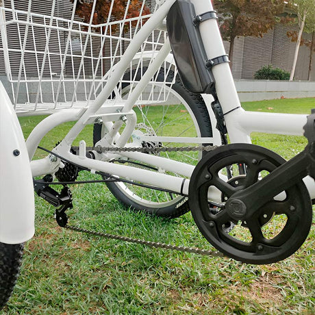 Bicicleta-Triciclo Eléctrico Robusta