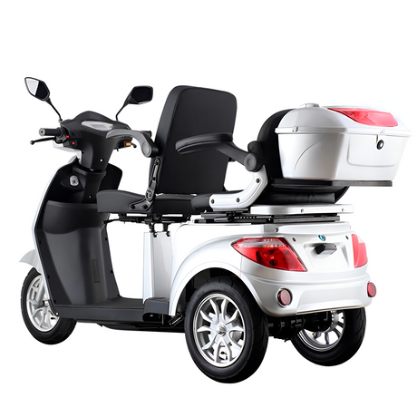 Scooter Elétrico de Dois Lugares 1000W