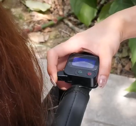 Silla de Ruedas Eléctrica con Mando Acompañante