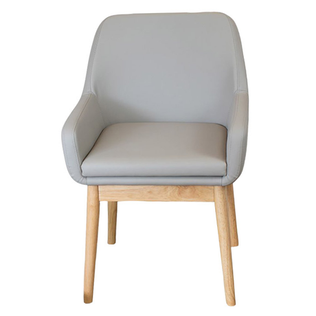 Sillon Inodoro Bonito Gris