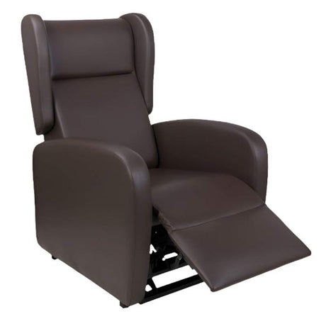 Sillón de Gran Confort con Elevación y Reclinación Eléctrica