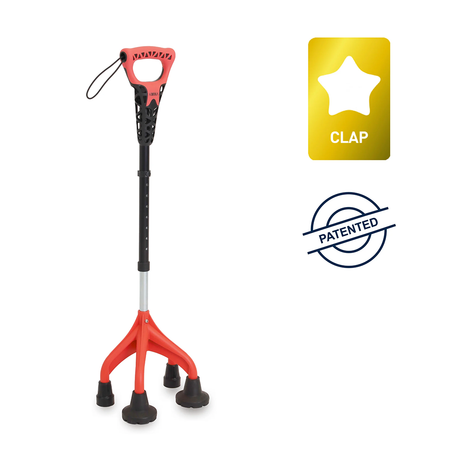 baston-4-patas-premio-internacional