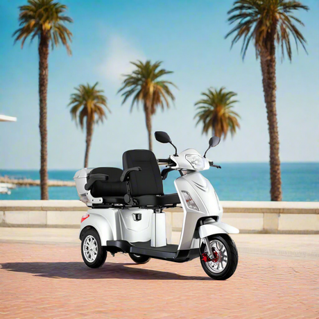 Scooter Elétrico de Dois Lugares 1000W